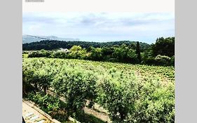 Studio dans les vignes de cassis